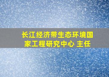 长江经济带生态环境国家工程研究中心 主任